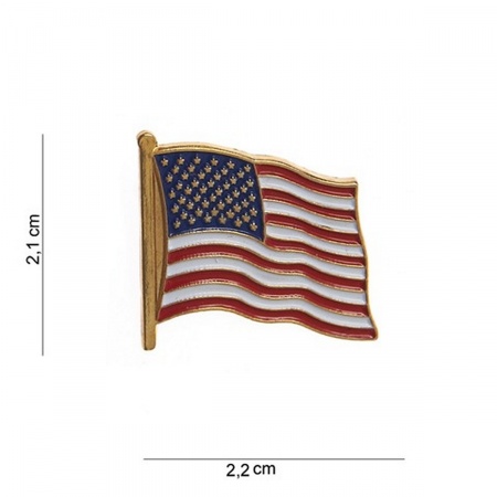 pin's drapeau US