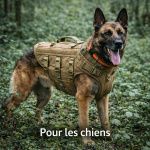 Rubriques 