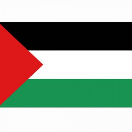 drapeau palestine